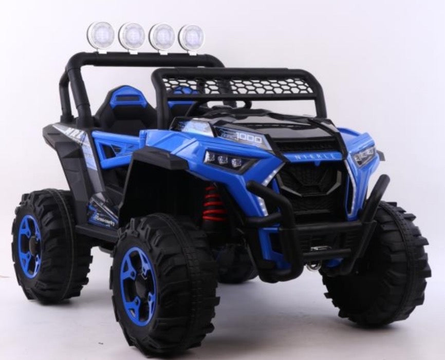 BLUE UTV CAR