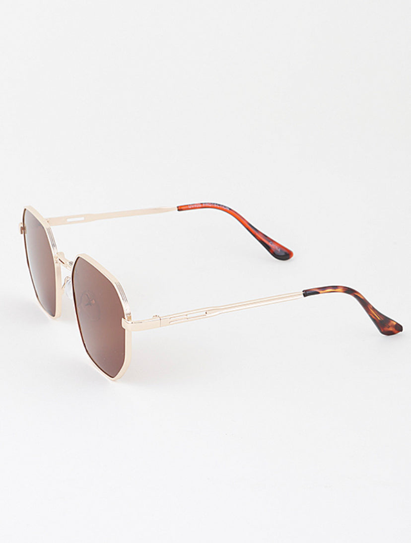 MEDUSA ROY SUNGLASS