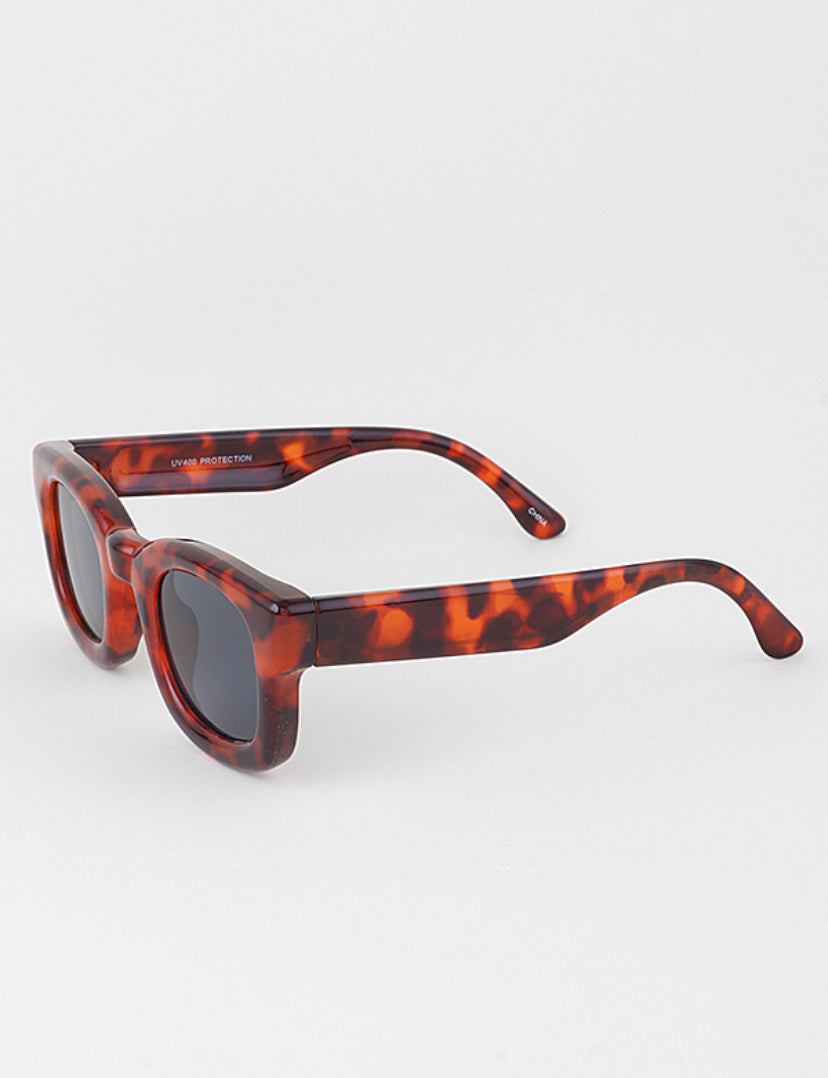 MEDUSA JESSE SUNGLASS