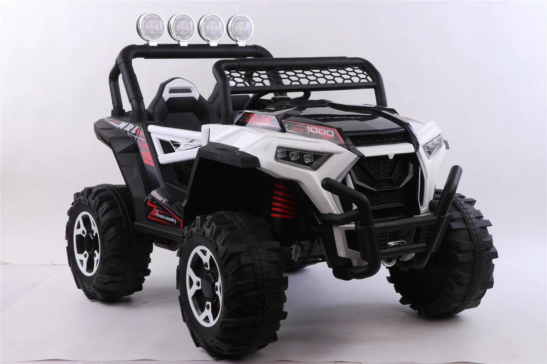 WHITE UTV CAR