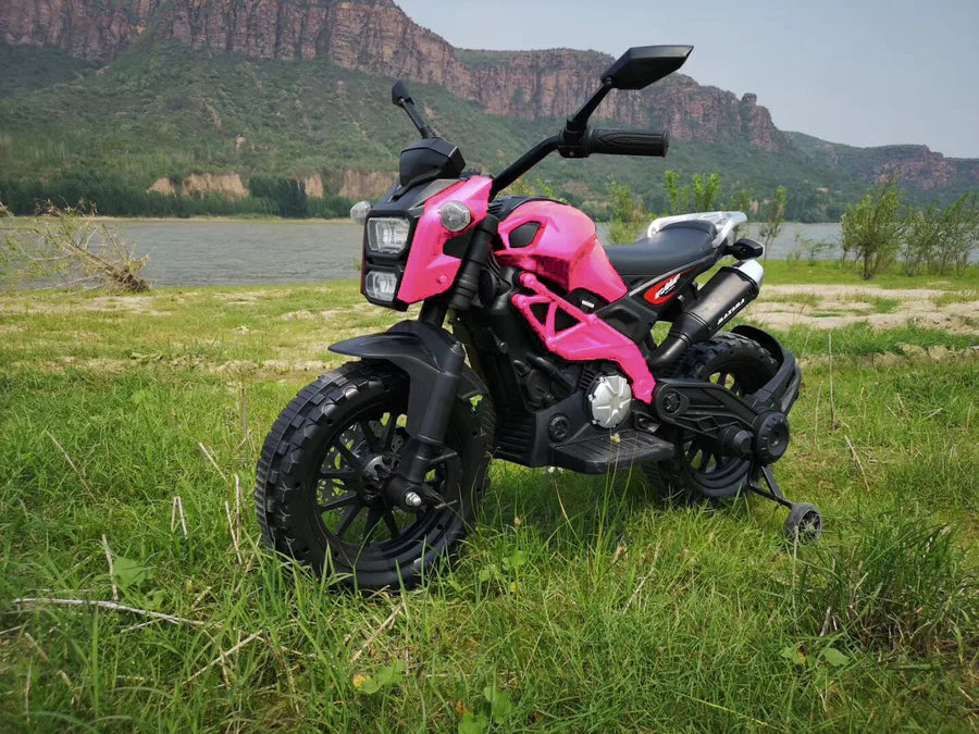 Pink Motorcycle T2