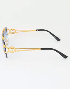 MEDUSA CHARLIE COUGAR SUNGLASS